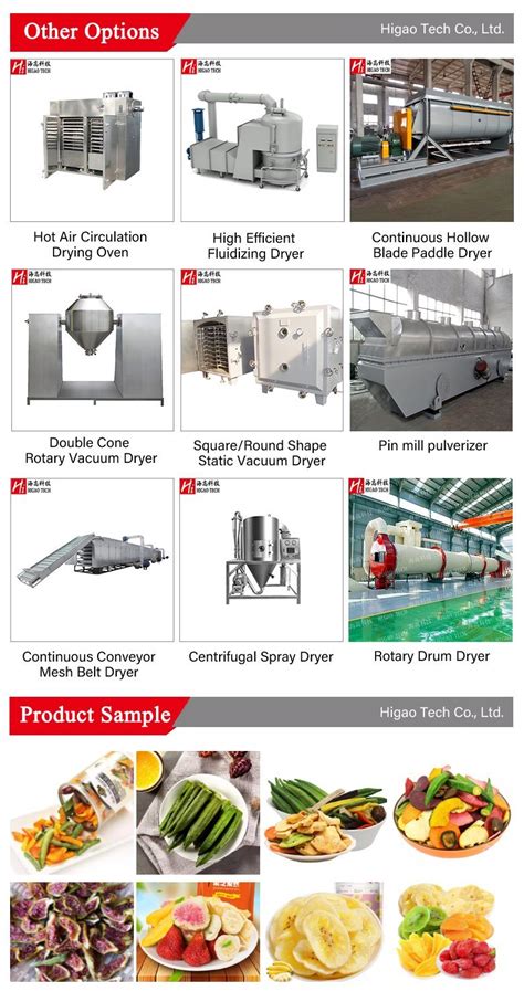 Laboratory Forced Hot Air Circulation Drying Oven Dry Heat Sterilization Oven For Sale China