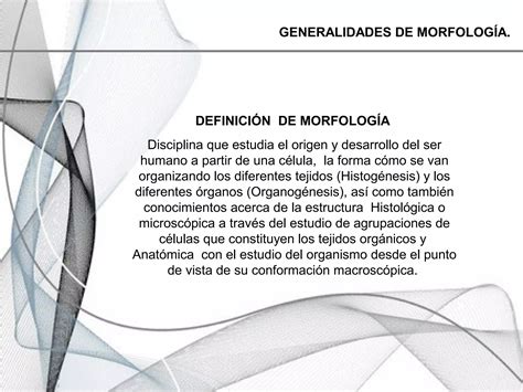 Generalidades de morfología PPT Descarga Gratuita