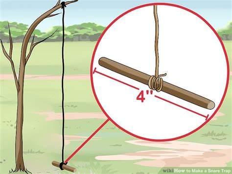 How To Make A Snare Trap With Pictures Wikihow