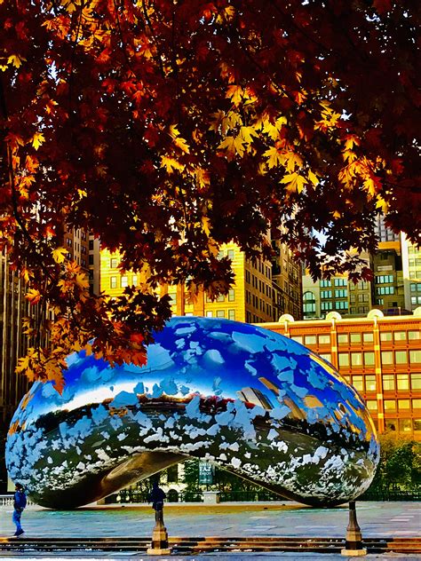 Fall Foliage @MilleniumPark, Chicago : Oct2019 | House styles, Fall