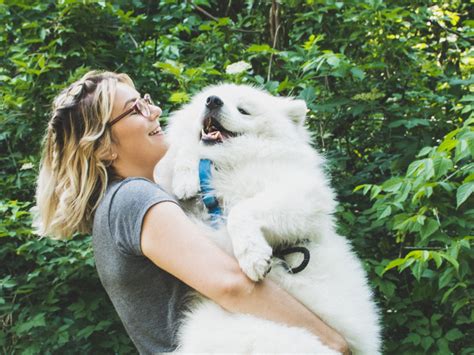 Is dog insurance worth it?