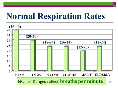 Understanding What S A Good Respiratory Rate For Optimal Health