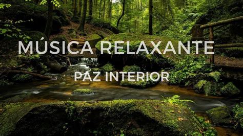 M Sica Relaxante Para Dormir E Estudar Sons Da Natureza Youtube