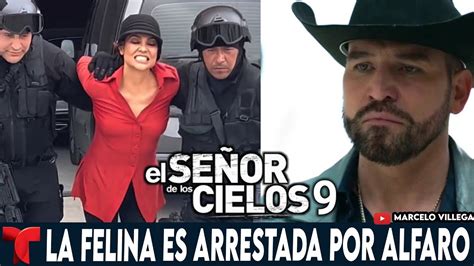 Capitulo 66 completo El Señor de los Cielos 9 La Felina es arrestada