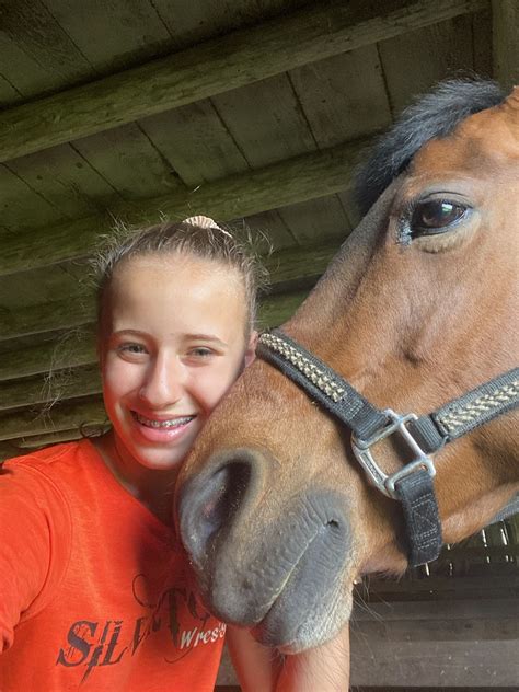 11 Best Horse Breeds For First Time Owners | Page 2 of 3 | PetPress