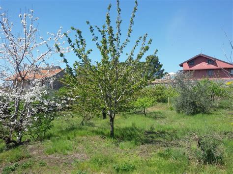 Terreno In Vendita In Vico Ardizzone S N C Ragalna Idealista N 1 In