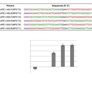 Primers For Plasmid Construction And Evaluation For Interference