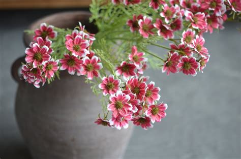 Real Touch Hot Pink Small Daisy Wildflowers Small Purple Filler Flowers DIY Home Decor Table