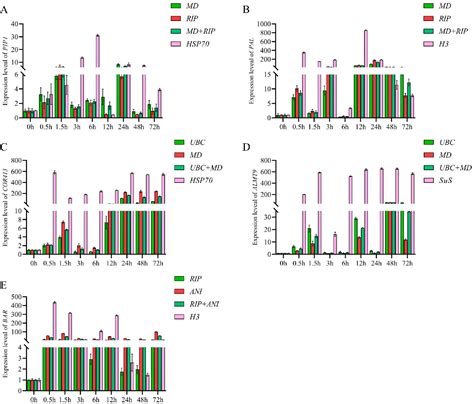 Figure 1 From Selection Of Suitable Reference Genes For Rt Qpcr Gene