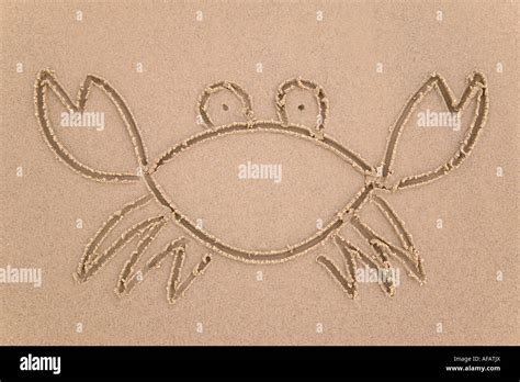 Drawing of a crab in sand at the beach Stock Photo - Alamy