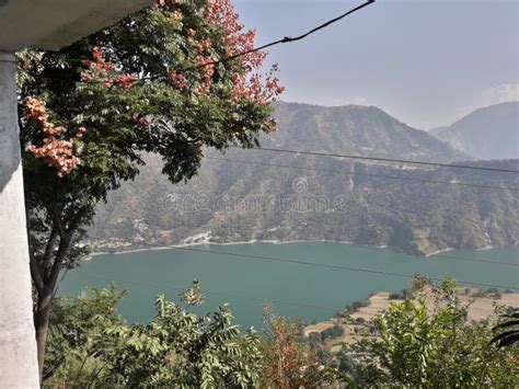 top view  chamera stock photo image  nature reservoir