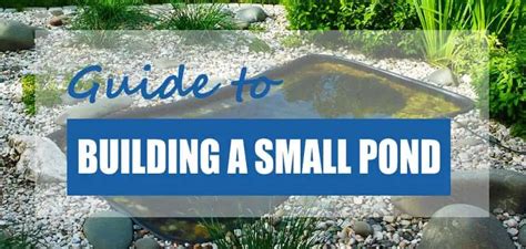 How To Build A Small Wildlife Pond Cheap And Easy Pond Informer