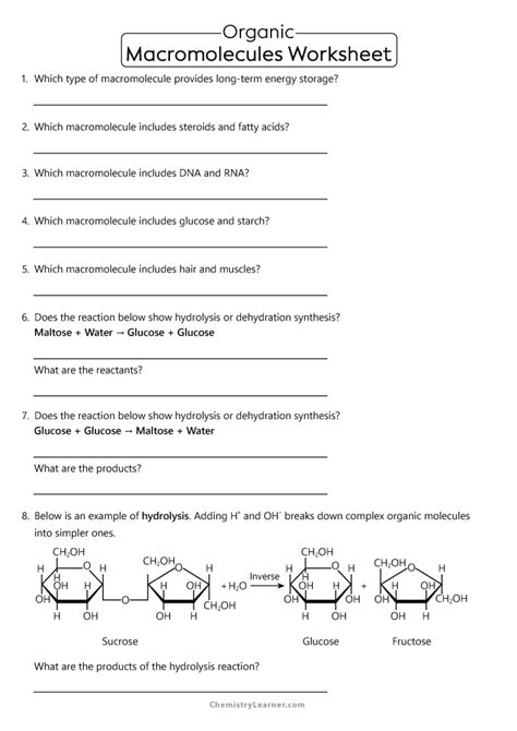 Biochemistry Macromolecules Pogil Worksheet Worksheet 