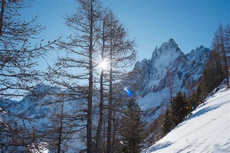 NEW COLLECTION 4ccccees