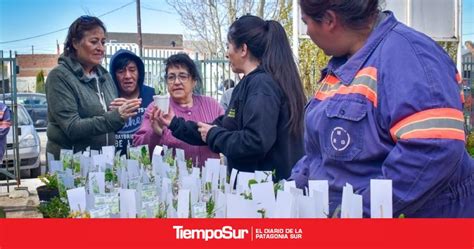 Gran Convocatoria De Vecinos Y Vecinas En Nueva Entrega De Plantines