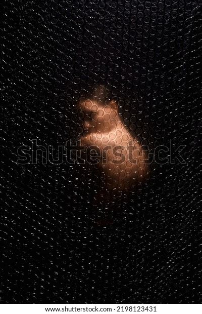 Beautiful Nude Woman Sexy Girl Behind Stock Photo 2198123431 Shutterstock
