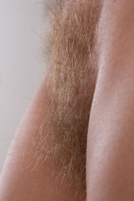 Photos Nues Et Images Porno De Chatte Blonde Poilue PornPics