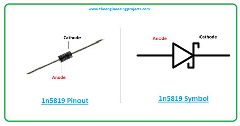 1n5819 pinout - The Engineering Projects