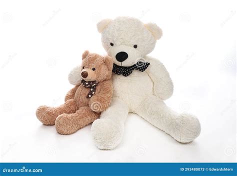 Two Teddy Bears Hugging Each Other Stock Image Image Of Animal White