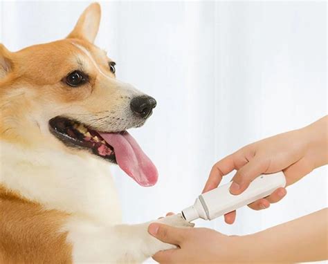 Триммер для когтей от Xiaomi за 13 долларов - MegaObzor