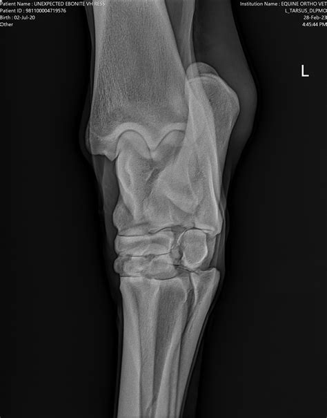 The del mar entries and results today revealed an unexpected winning horse 10