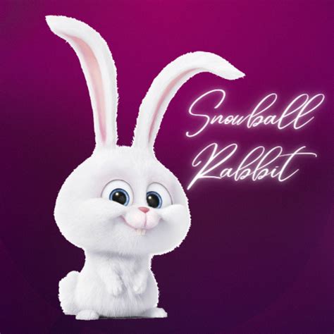 Snowball Conejo Stickers