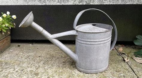 Метална лейка: как да изберем градинска лейка? Характеристики на ...