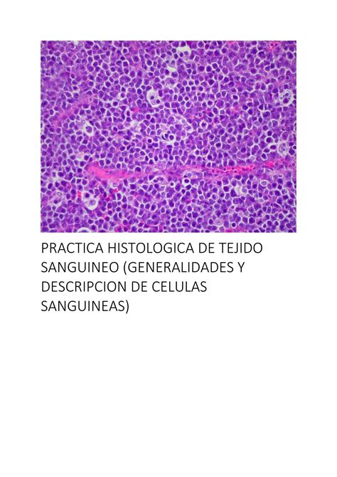 Solution Practica Histologica De Tejido Sanguineo Generalidades Y