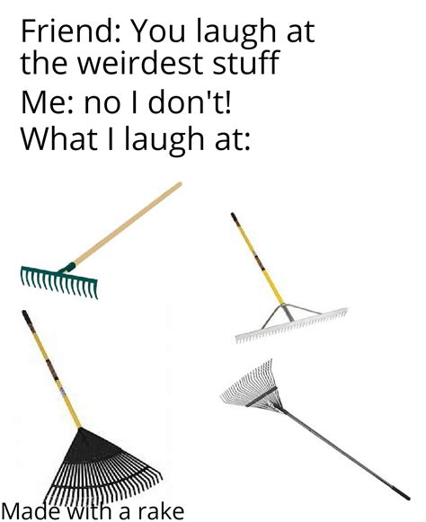haha funny rake rmemes