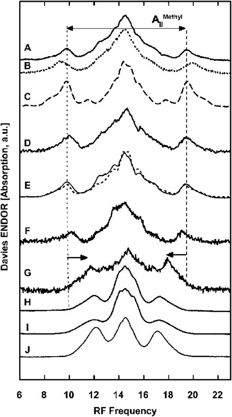 Davies H Endor Spectra Of The Bo Qox Of E Coli A G Under