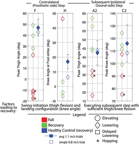 Late Swing Discrete Summary Metrics Lower Limb Dynamics These Plots