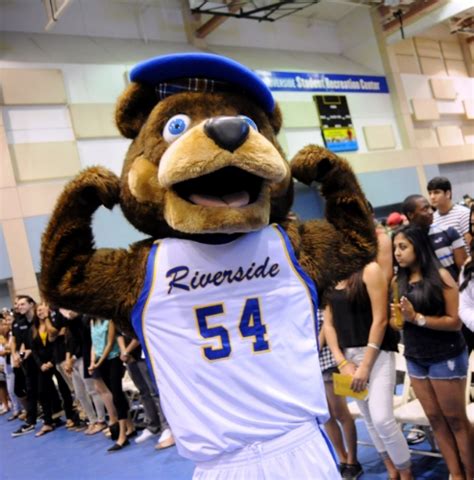 University of California Mascots, Ranked by Dan — Is This a Thing?