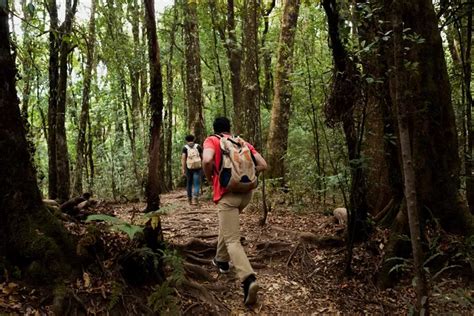 Tes Kepribadian Apakah Kamu Memiliki Kecerdasan Naturalis Yuk Cari