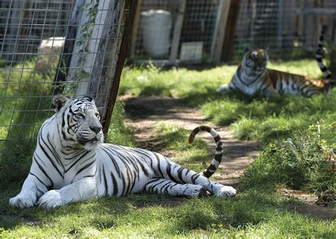 Zoos & Aquariums to "wild up" your itinerary | VisitNebraska.com