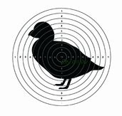 Мишень номер 4 грудная