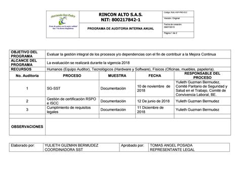 Ejemplo De Programa De Auditoria Porn Sex Picture