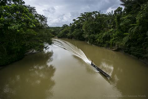 Indigenous groups unveil plan to protect 80% of the Amazon in Peru and ...