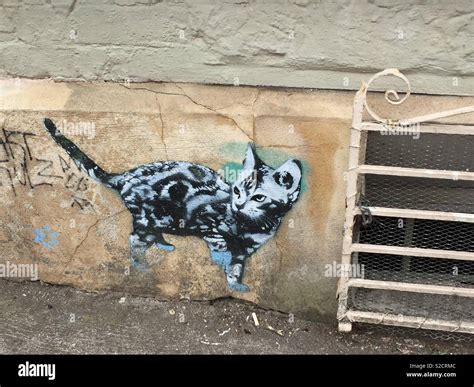 Cat street art in Bristol Stock Photo - Alamy