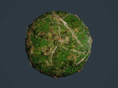 3d Model Forest Ground Seamless Pbr Texture 14 Cgtrader