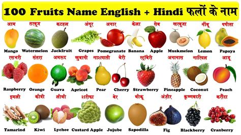 Fruits Name In English And Hindi With Pdf Falon Ke Naam