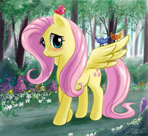 pony friendship  magic photo fluttershy fluttershy