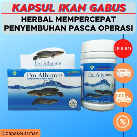 Jual Albumin Kapsul Pro Albumin Ikan Gabus Kapsul Ikan Kutuk