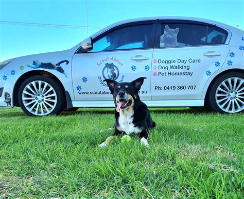 Treendale Pet Medical added a new... - Treendale Pet Medical