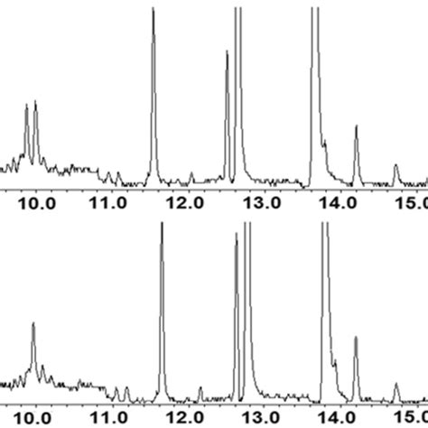 Representative Gc Ms Chromatograms Sim Mode Using The Quantification