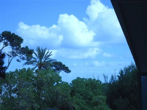 Ausblick Hotel Na Forana Cala Ratjada Holidaycheck Mallorca