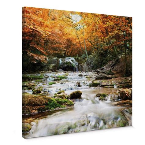 Autumn Waterfall Canvas Print Wall Art