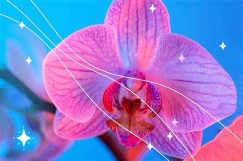 Mujer Vagina Y Orgasmo Una Trilog A Natural Y Necesaria Bagre Revista Digital En Ecuador