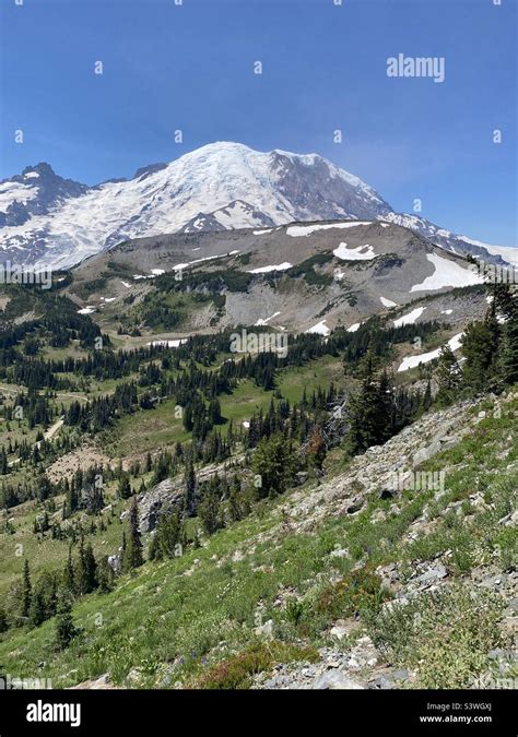 Mount Rainier, Washington Stock Photo - Alamy