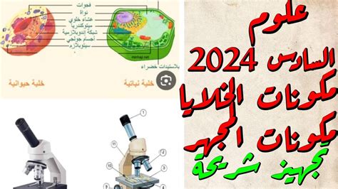 مكونات الخلايا الحيوانية و النباتية تركيب المجهر تجهيز شريحة لفحصها