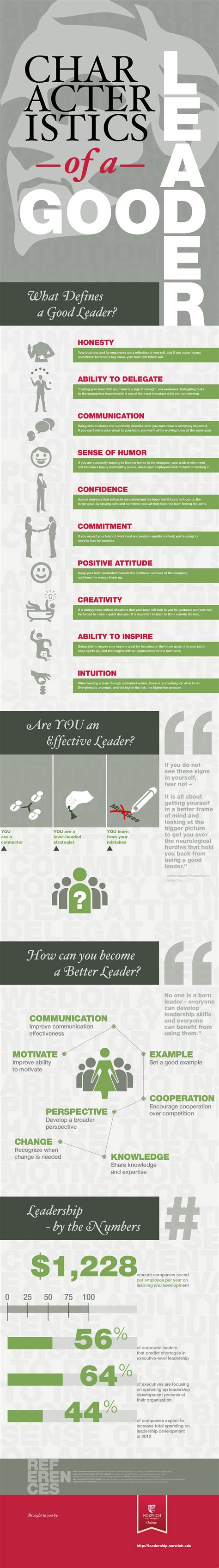Leadership Qualities Infographic